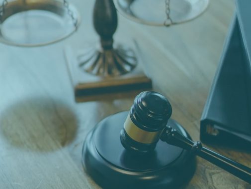 Especial: março mês das mulheres