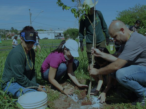 equipe Brasil Salomão plantando árvores