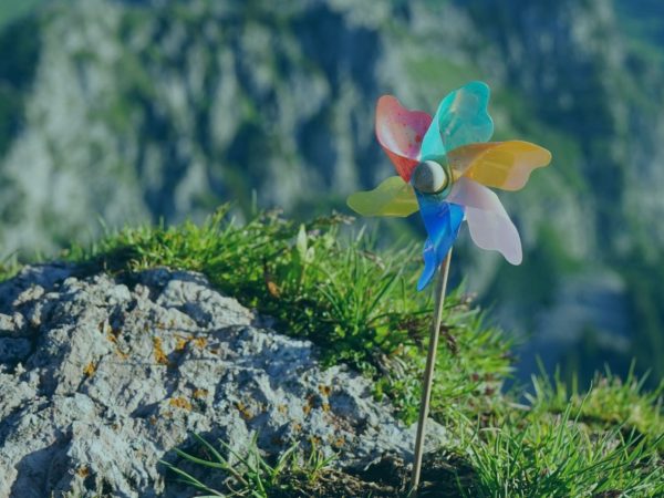 Trabalho infantil : grave violação dos direitos humanos