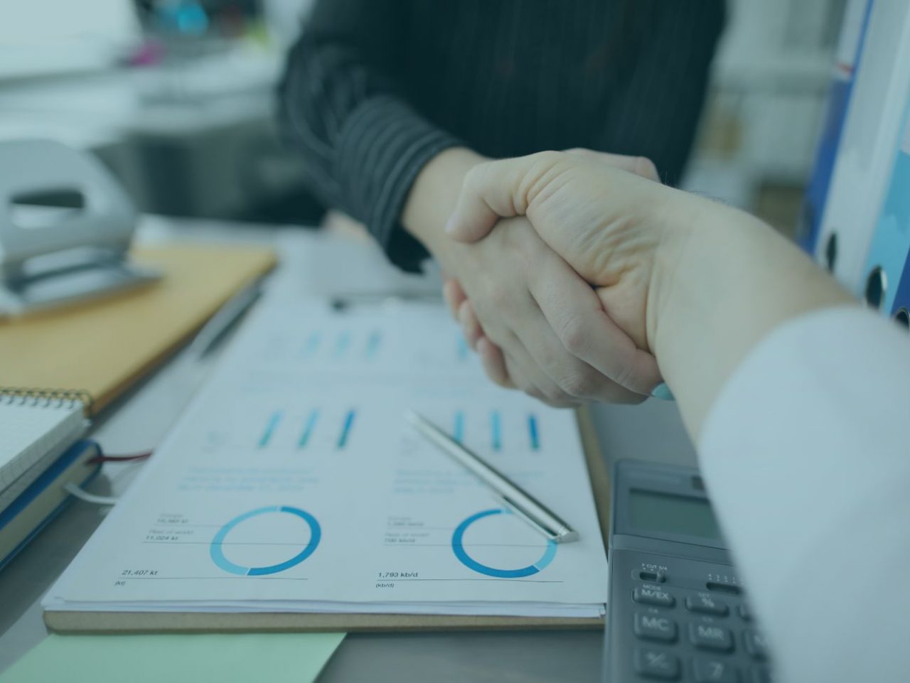 João Henrique G. Domingos