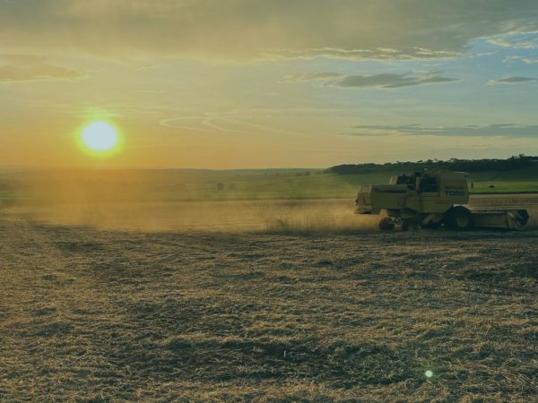um trator na grama em um fim de tarde com o por do sol