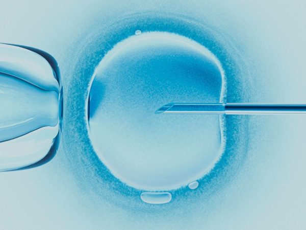 fecundação in vitro
