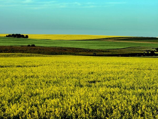 Congresso Mato-grossense de Direito Tributário discute justiça e tributos no agronegócio