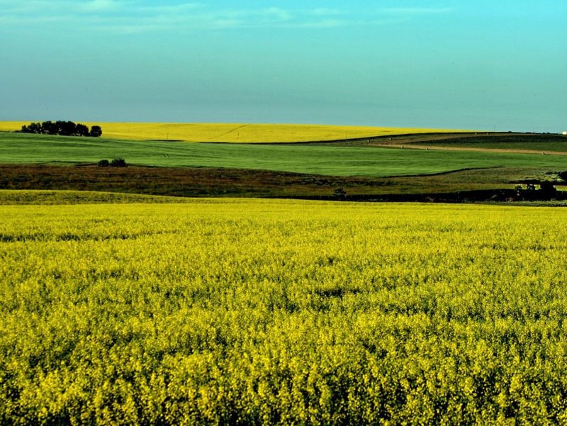 Congresso Mato-grossense de Direito Tributário discute justiça e tributos no agronegócio