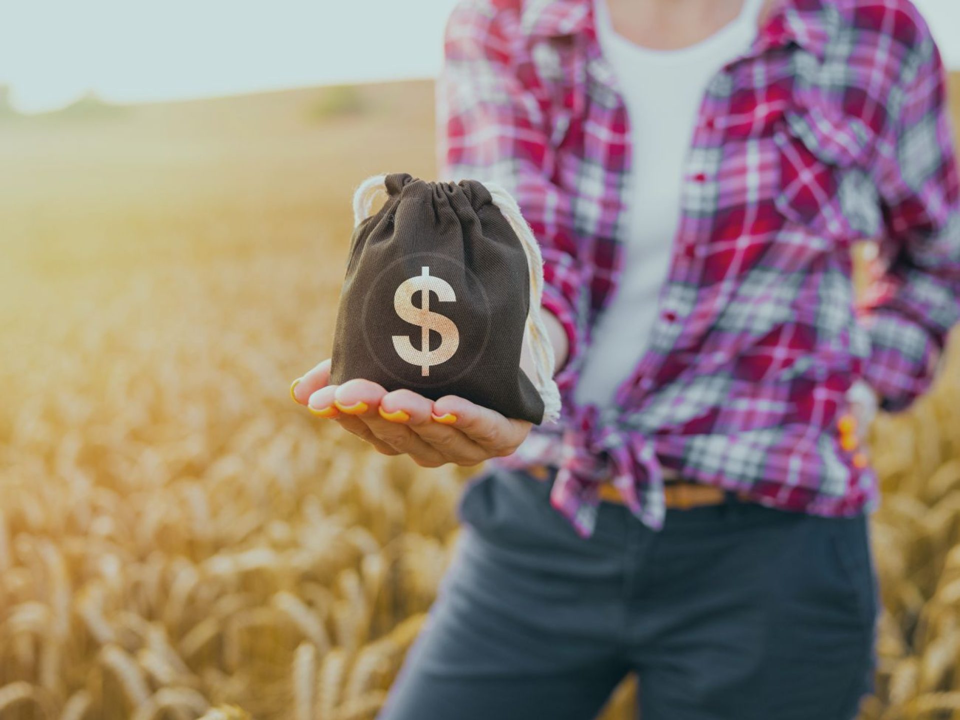 Do Crédito Outorgado ao Procurador Rural Instituído pelo Decreto Paulista nº 68.178/2023