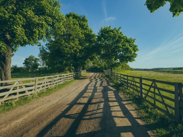 Prorrogação da outorga de crédito rural e do fim do e-cred rural em são paulo