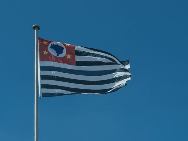 OAB/SP Requer o Fim da Taxa de Cumprimento de Sentença e o Aumento do Prazo para Recolhimento de Guias no TJ SP