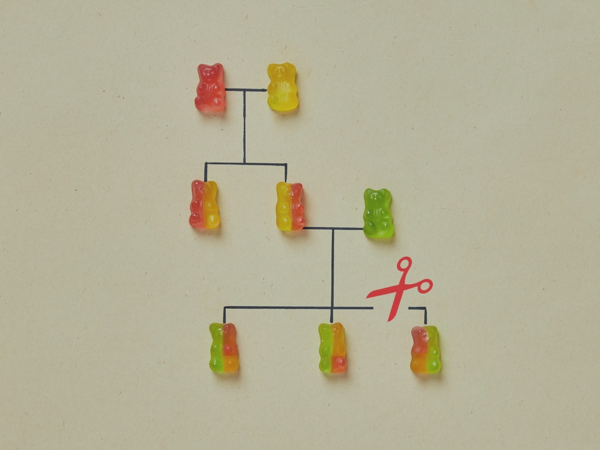Novo marco na indignidade hereditária: a Lei 14.661/2023 e o art. 1.815-A