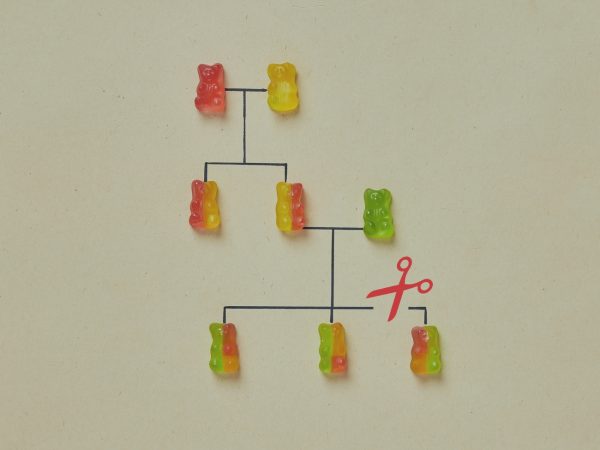 Novo marco na indignidade hereditária: a Lei 14.661/2023 e o art. 1.815-A