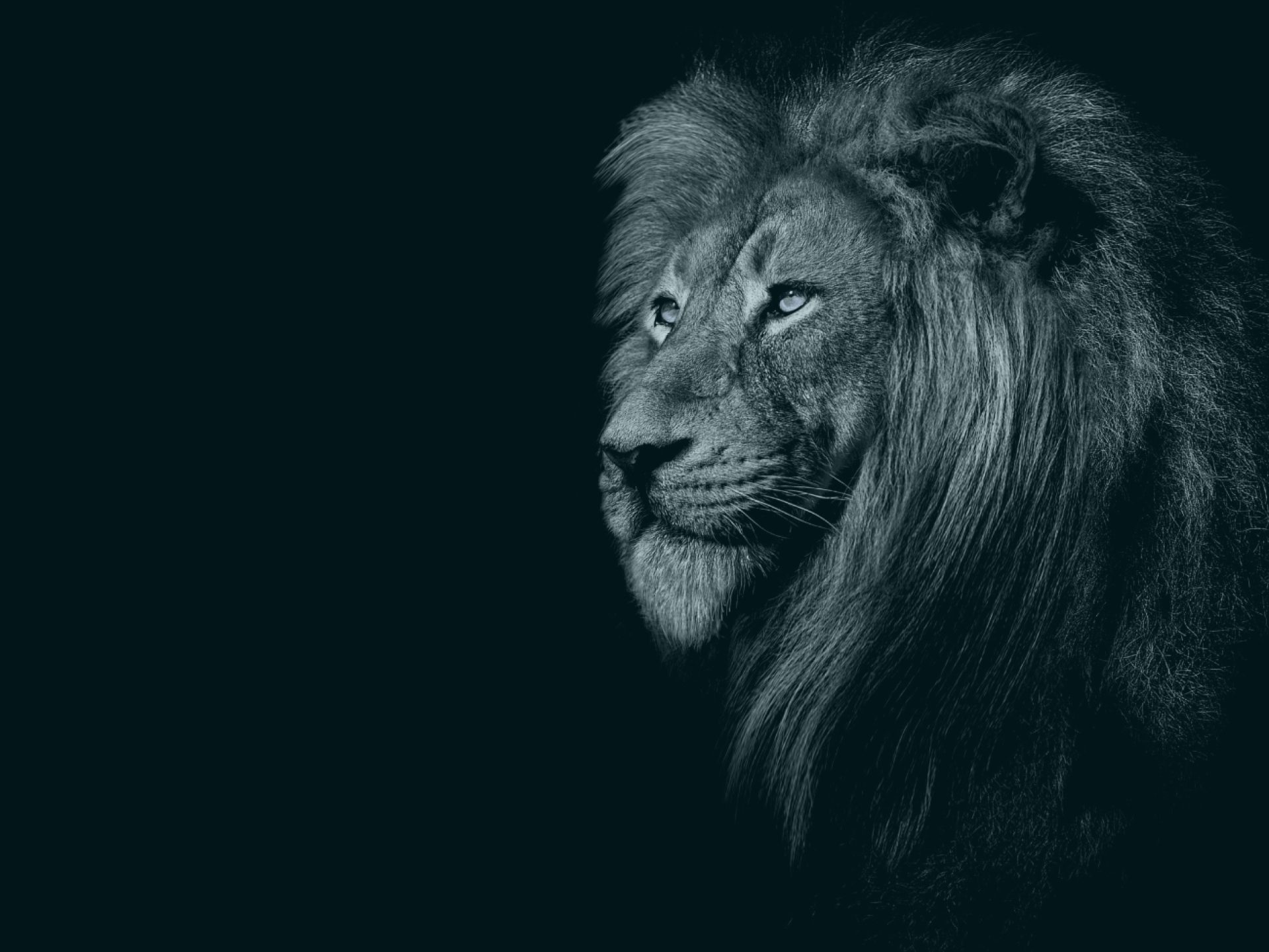 Fazenda Paulista cobra mais de R$ 200 milhões de ICMS de contribuintes