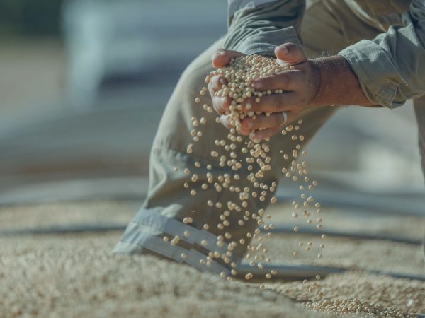 Justiça concede liminar e suspende cobrança de dívidas agrícolas