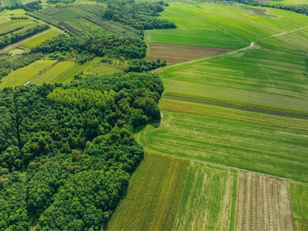 STF define que reservas legais podem ser compensadas em áreas do mesmo bioma das propriedades rurais