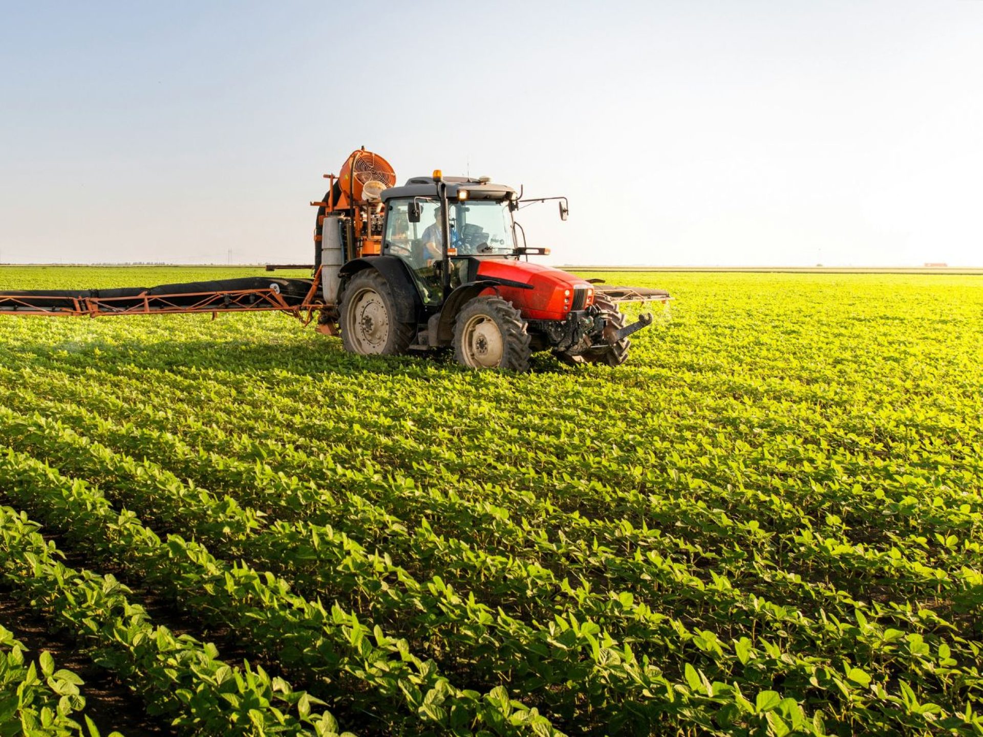 Comissão de Agronegócio da CCBC amplia oportunidades bilaterais entre Brasil e Canadá