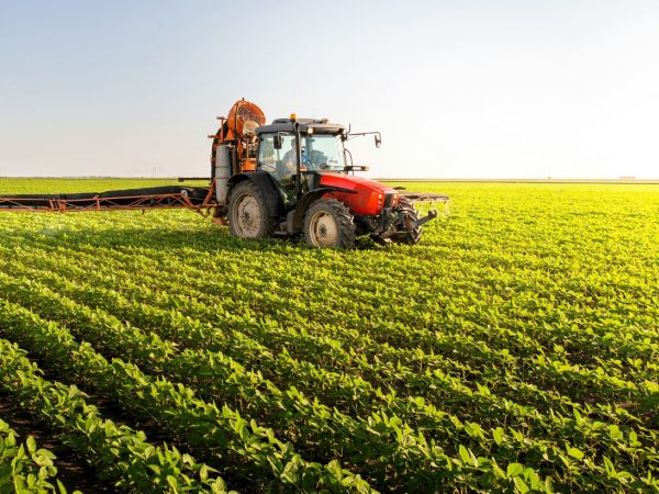 Comissão de Agronegócio da CCBC amplia oportunidades bilaterais entre Brasil e Canadá