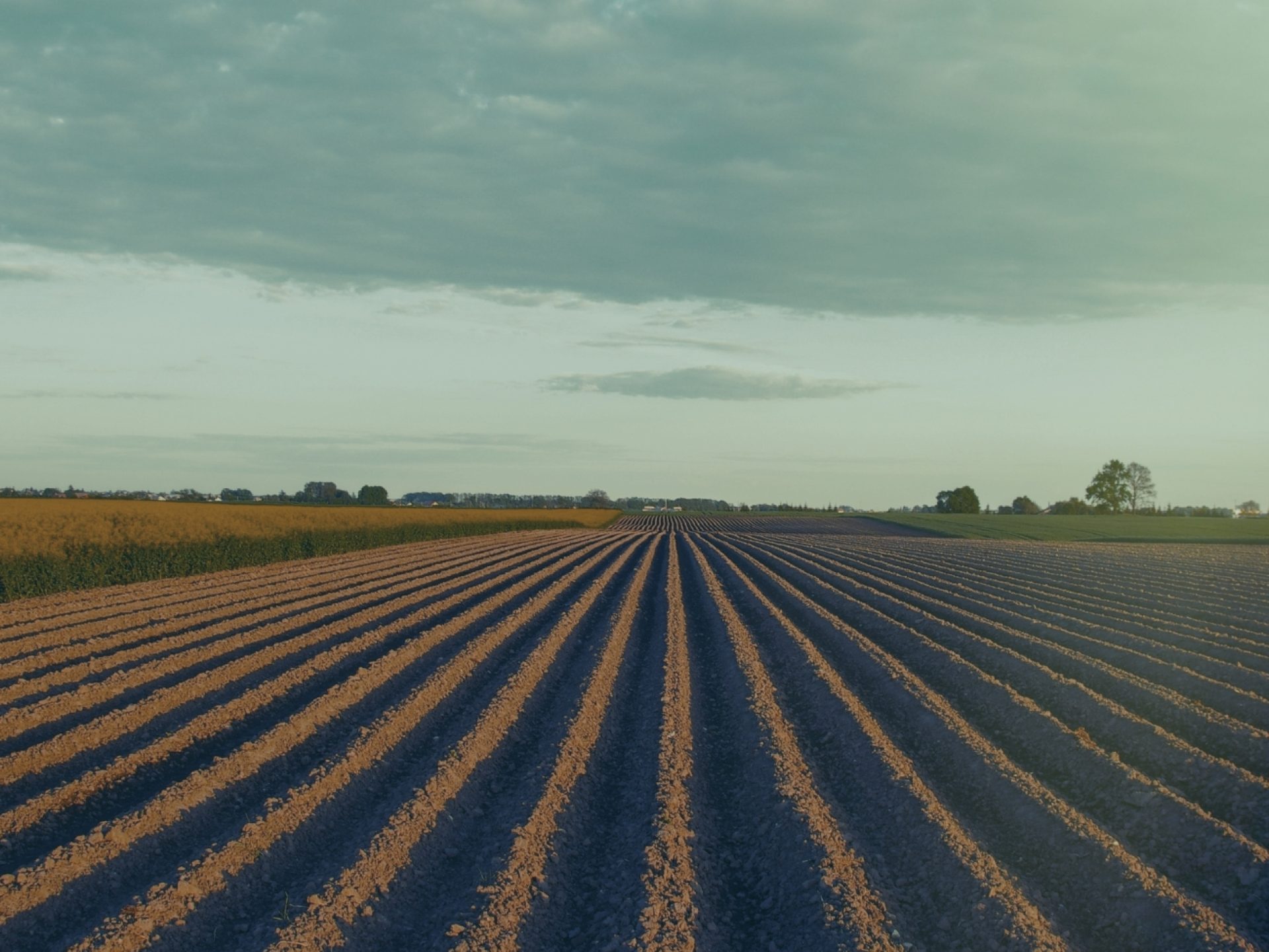 Resolução nº 5.247/2025 do Conselho Monetário Nacional – CMN cria novas condições para renegociação e quitação de dívidas rurais