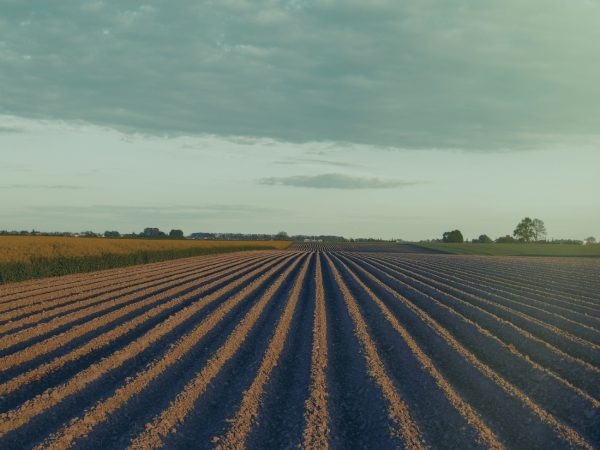 Resolução nº 5.247/2025 do Conselho Monetário Nacional – CMN cria novas condições para renegociação e quitação de dívidas rurais