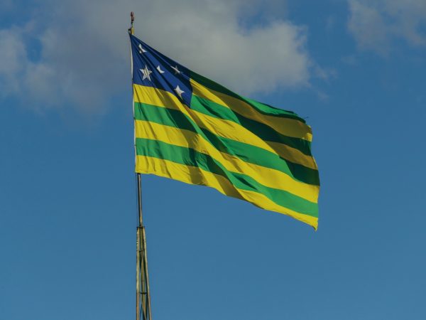 Estado de Goiás publica novas leis com benefícios tributários para empresas – “Refis” e convalidação