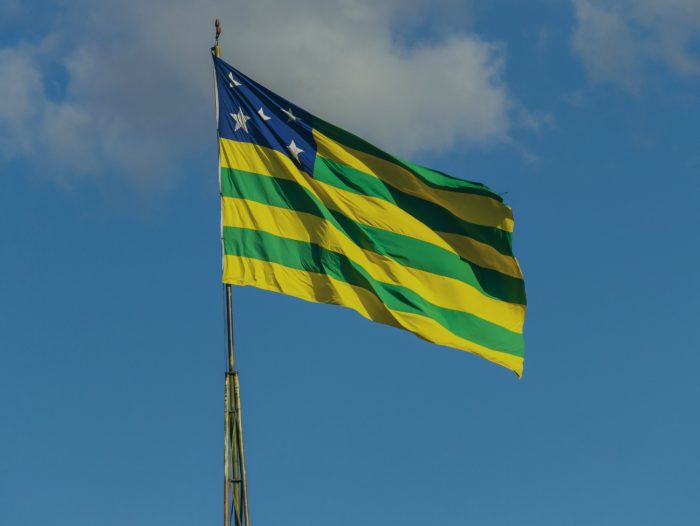 Estado de Goiás publica novas leis com benefícios tributários para empresas – “Refis” e convalidação